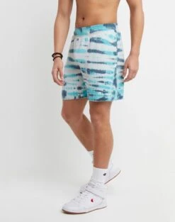 Champion Men's Lightweight Fleece Shorts Wave Dye Trekking Grey