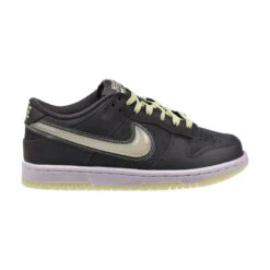Nike Dunk Low (GS) Big Kids' Shoes Iron Grey/Lime Ice Hq3569-068